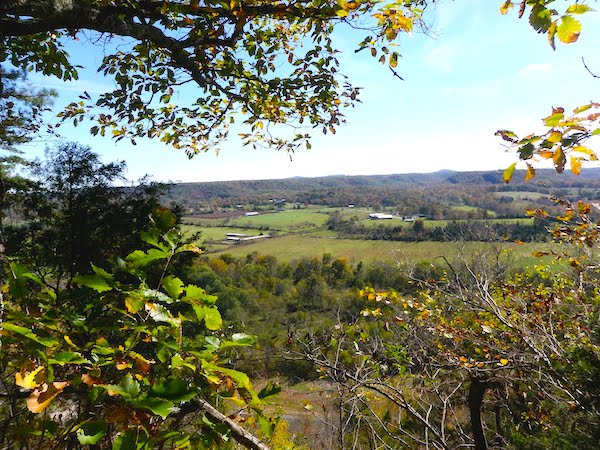 Scenic Overlook