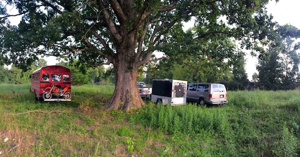 Large Oak at the Staging Area