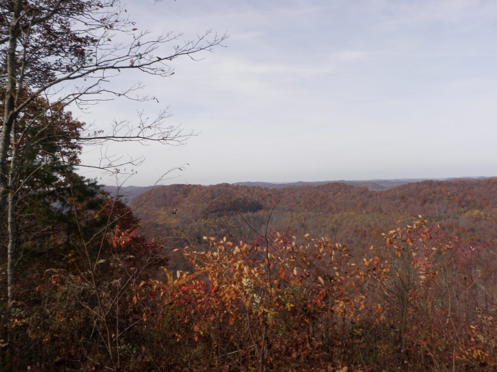 View from Pine Mountain Ridge